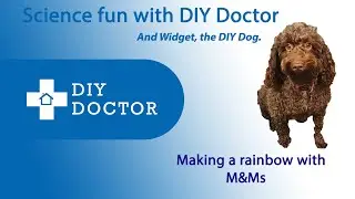 Science fun with DIY Doctor  Making a rainbow
