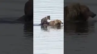 хитрый рыбачок