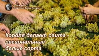 Короля делает свита - региональные белые сорта