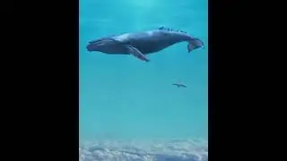 онажонлар алласи👍👍👍👍