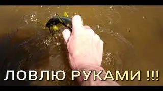 РЫБАЛКА РУКАМИ!!!  Рыбалка на Амуре.