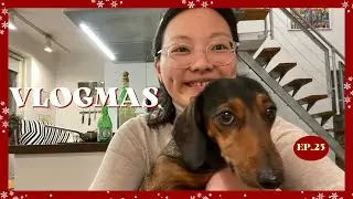 Vlogmas｜🎄荷蘭聖誕月日常｜我的聖誕禮物開箱