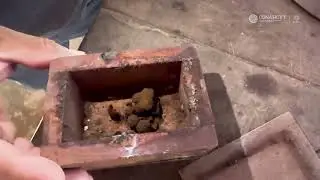 Día Nacional de las Abejas