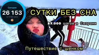 СЫЗРАНЬ //ПУТЕШЕСТВИЕ С СОБАКОЙ //НАС ВЫГНАЛИ ИЗ ПОЕЗДА ?//КАК ЭТО БЫЛО …