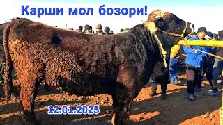 Карши Карвон мол бозори нархлари! 12.01.2025