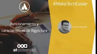 Funcionamiento y características de BigPicture | atSistemas