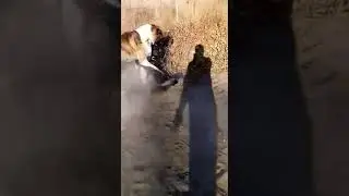 BERUNIY QURALPO It urush