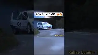 206 Super 1600 rallye en flamme #pourtoi #automobile #rallyesports #motorsport #fyp #peugeot #wrc