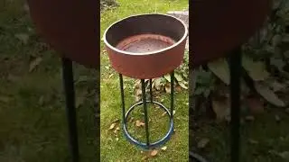 Бюджетный монгал