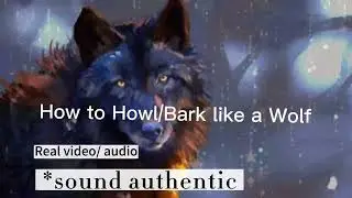 How to howl and bark like a wolf/dog