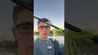 Buzzbait in the winter??