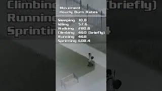 Calorie Costs in Zomboid