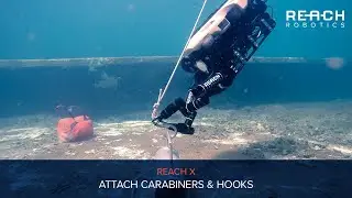 Reach X Carabiner Clip | Reach Robotics
