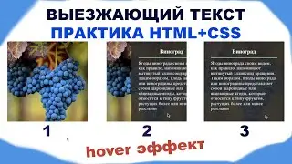 Выезжающий текст при наведении. Карточка с эффектом hover. HTML и CSS на практике, верстка.