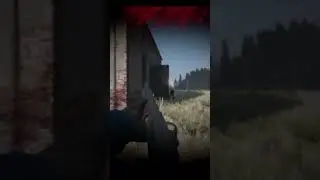 Best of DAYZ