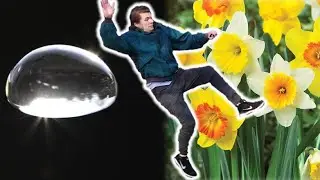 Do April Showers bring May flowers?