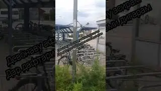 модарам нест