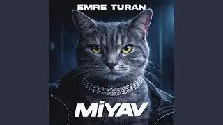 Kullanım Talimatı