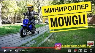 Минироллер MOWGLI - отличная альтернатива детской машинке. Для детишек возраста с 3 до 10 лет.
