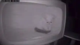 котёнок плачет...