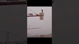 Для совершении намаза нужна всего лишь вера в Аллаха. #ислам