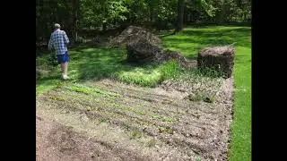 No Dig No Till Garden Time Lapse