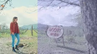 Perfecta LUT comparison test, by Cineplus, amazing nature colors