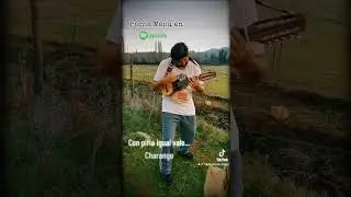 Charango en el campo 