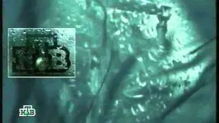 Коллекция заставок от НТВ - Дизайн (NTV - Design Collection) 10