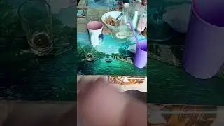 Дьдом Дьмооооооон
