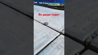 16 августа 2024 г.