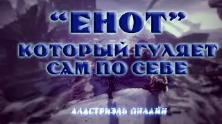 "Енот" который сам по себе