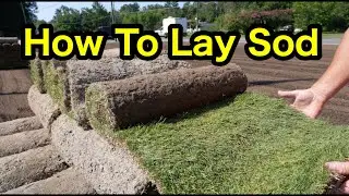 How To Lay Sod