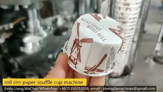 NO pe /pet coated 100% biodegradable water and oil proof Paper cup machine