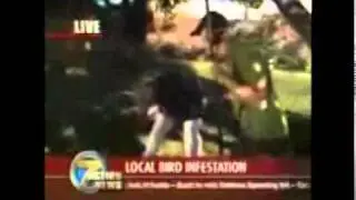 Super Awesome News Show Episode #2
