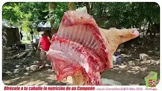 entrega de Afrecho en el Arroyo Gurabo, Santiago, República Dominicana