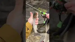 He's Never Caught or Eaten a Fish Before! 