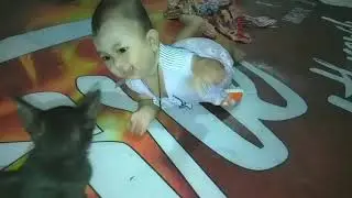 bayi main sama kucing hitam bikin gemes banget ❤️❤️❤️❤️