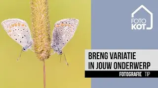 Breng variatie in jouw onderwerp