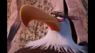 no