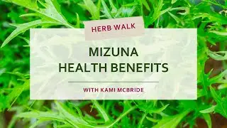 Mizuna Health Benefits and Uses