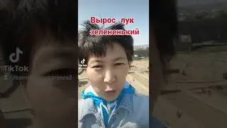 Деревенская жизнь.