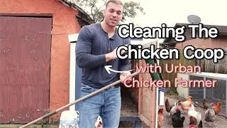 Dirty Chicken Coop? This is how you clean it!