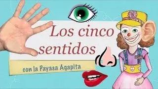 Los cinco sentidos, para niños