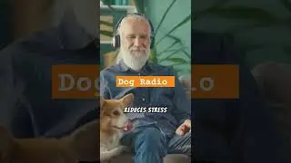Dog Radio Experience #DogRadio #petcare #doglovers #dogs #dogsofyoutube