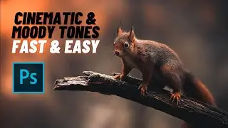 Editing Cinematic & Moody tones in Wildlife Photography | Color Grading Tutorial | Photoshop 2022