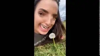 Oh look a dandelion! in reverse
