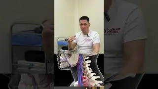 Высокое давление: мы устраняем одну из причин за 5 минут! 