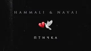 HammAli & Navai – Птичка (Клип 2023)