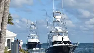 40th Annual Reef Cup Sailfish Invitational 🎣 #keylargo